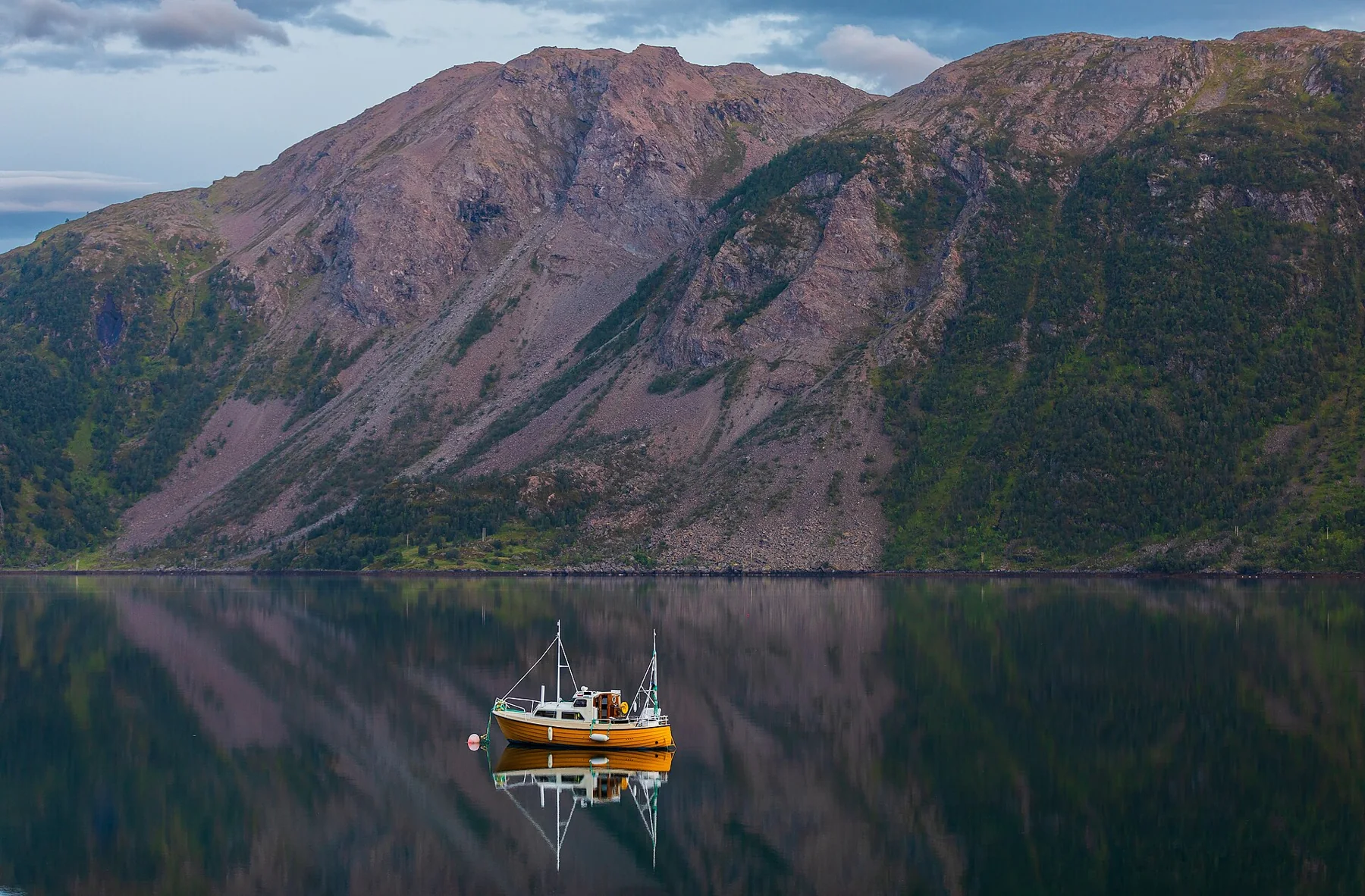 Thumbnail for credited Arctic reference image